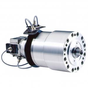 Rotary Cylinders: DY (Double-Piston Hydraulic Cylinder)